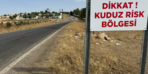 “Köpeklerin hastalık taşıdığı” iddialarına açıklama!  Ankara Valiliği uyarıyı kabul etti: 'Bütün birimlerimiz alarma geçirildi'