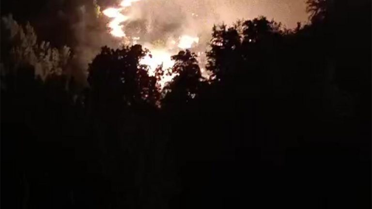 Elazığ ormanlık alanda yangın – Son haberler