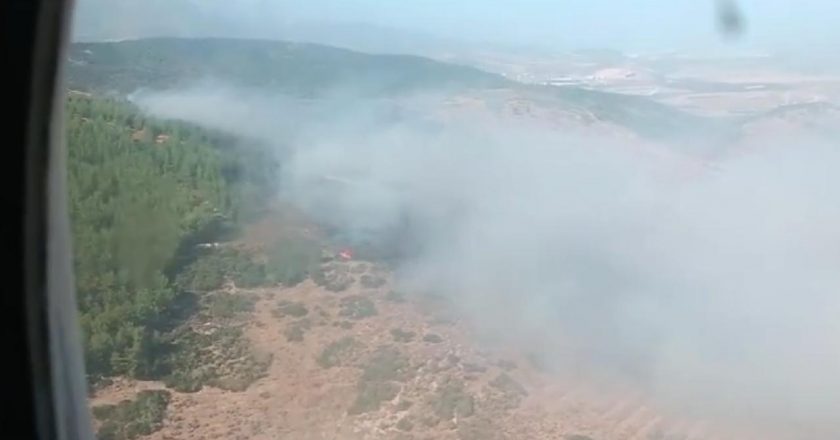 Hatay'da orman yangını – Son haberler