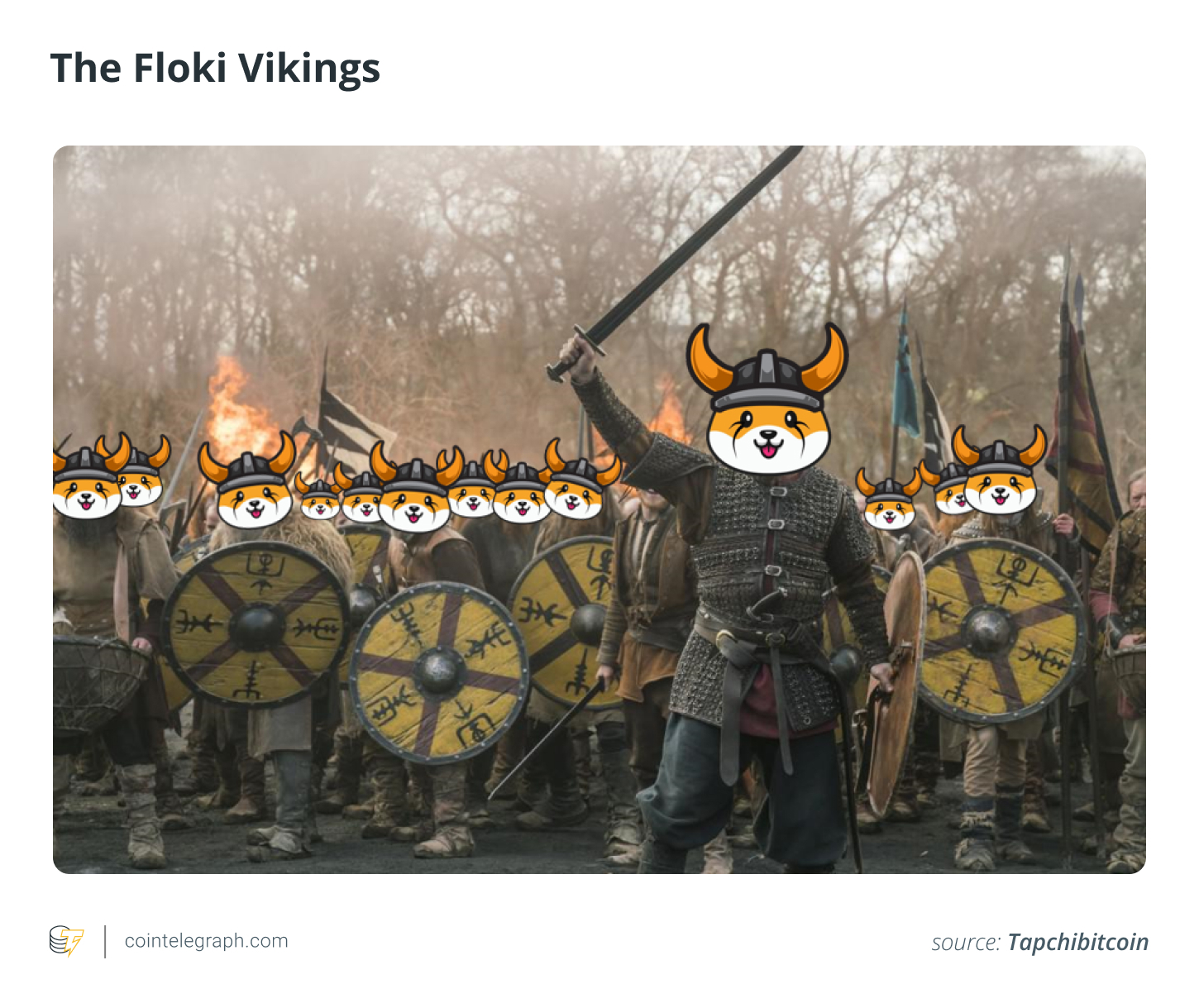 Floki Vikingleri