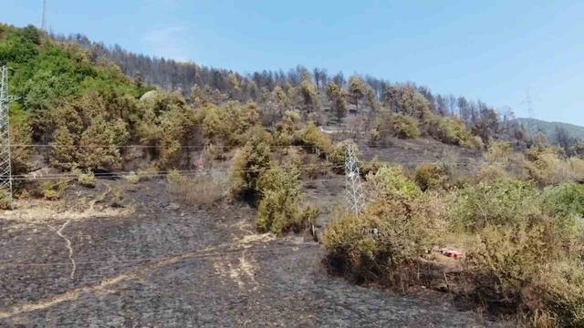 Yangının neden olduğu yıkım AIR 4 tarafından görüldü