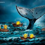 Bitcoin balinaları piyasayı gerçekten yönlendiriyor mu? Detaylı analiz