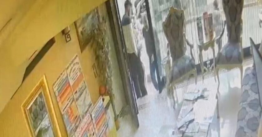 Böcek ailesinin ölümü: İlaçlama yapan kişinin otele giriş görüntüsü ortaya çıktı