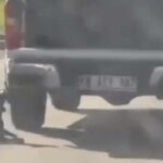 Muğla’da dehşet verici olay: Kamyonetle sürüklenen köpek hayatını kaybetti