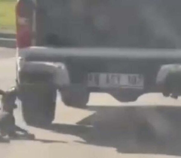 Muğla’da dehşet verici olay: Kamyonetle sürüklenen köpek hayatını kaybetti